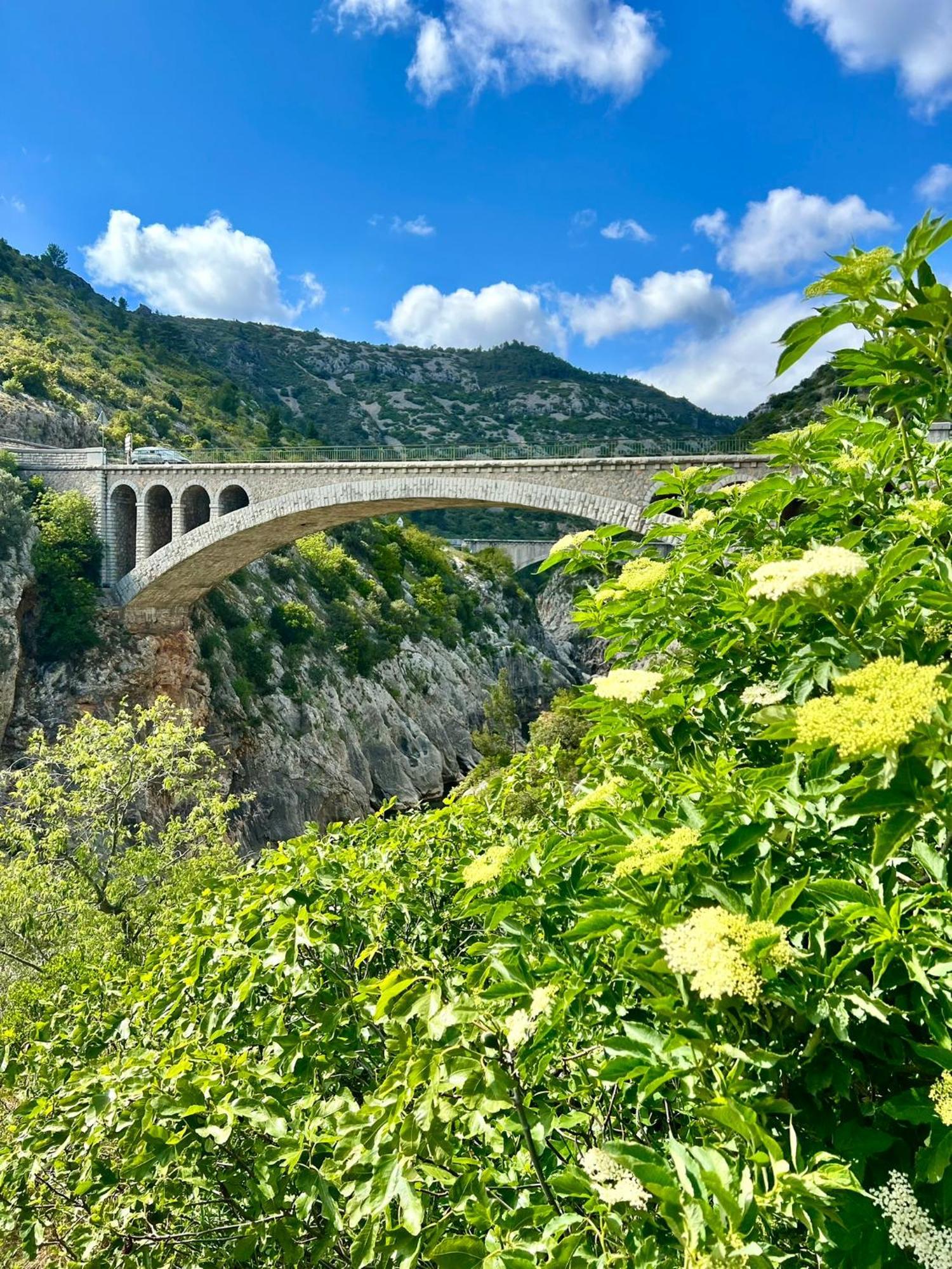 Melisande Au Pays Des Orjouliers Saint-Jean-de-Fos Eksteriør billede